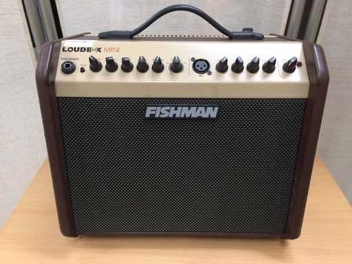 J495 YAMAHA ヤマハ FISHMAN フィッシュマン Loudbox Mini ギター用