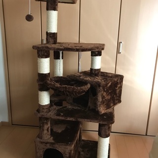 引渡し者決まりました】取りに来れる方限定 猫用一式セット