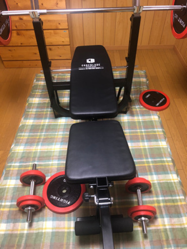 ベンチプレス、ダンベルセット(100キロ) 【公式通販】