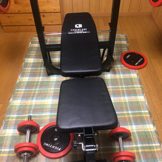 ベンチプレス、ダンベルセット(100キロ)