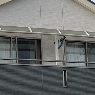 最終値下げ 美中古 2階 テラス屋根 バルコニー屋根 長さ5 53m出幅1m 洗濯物ほし便利 埼玉八潮解体 お引き取り限定 Jason 八潮のその他の中古あげます 譲ります ジモティーで不用品の処分 最終値下げ 美中古 2階 テラス屋根 バルコニー屋根 長さ5 53m出幅1m 洗濯物ほし便利 埼玉八潮解体 お引き取り限定 Jason 八潮のその他の中古あげます 譲ります ジモティーで不用品の処分