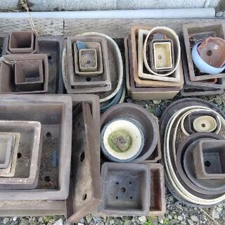 　お買得です🙋盆栽鉢