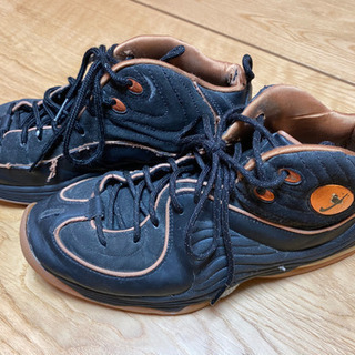 NIKE ZOOM PENNY 4 HOH限定モデル　27cm