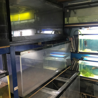 家具 水槽、アクリル水槽、アロワナ水槽、大型水槽