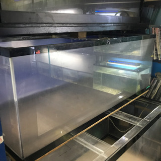 アクリル水槽、150アクリル水槽、大型水槽、アロワナ水槽
