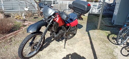 kawasaki ＫＬ２５０Ｒ北米仕様　　自賠責保険　令和7年11月まで付属