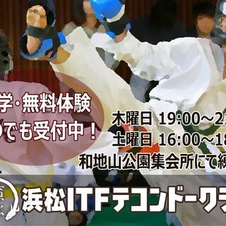 夢中になれるものがここにはある　浜松ITFテコンドークラブ