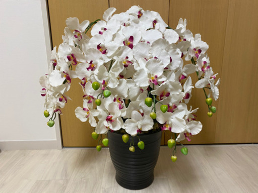 胡蝶蘭造花鉢植え Yy 王子神谷の家電の中古あげます 譲ります ジモティーで不用品の処分