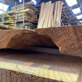 センダン　一枚板　板木　テーブル