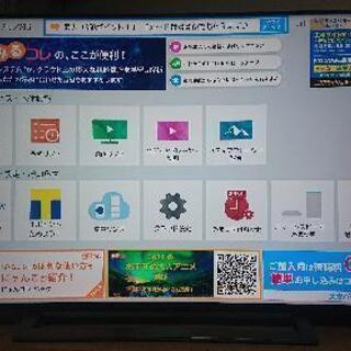【ネット決済】液晶50インチテレビ東芝REGZA530X