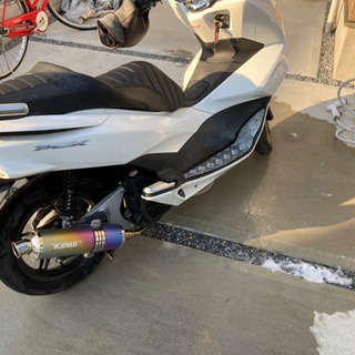 PCX 125 jf56 低走行 ワンオーナー