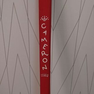 スコッティキャメロン ニューポート2 パター