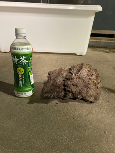 溶岩石 バラ売り可 | gasreg.org.eg