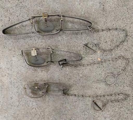 ANIMAL TRAP☆デッドストック未使用品×12