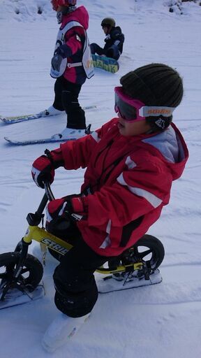 値下げ ストライダー と スキーアタッチメント セット ばら売り無し