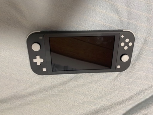 ニンテンドーDS,3DS Nintendo switch light