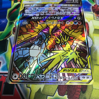 ファイヤー&サンダー&フリーザー 三鳥 絵違い