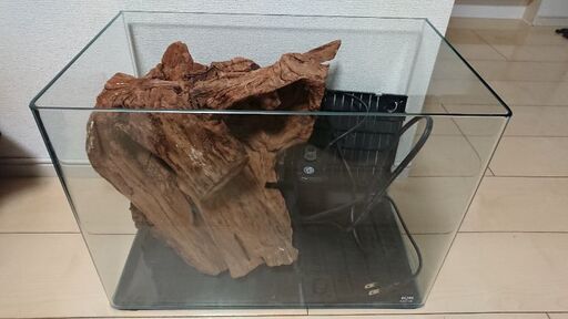 45cmオールガラス水槽