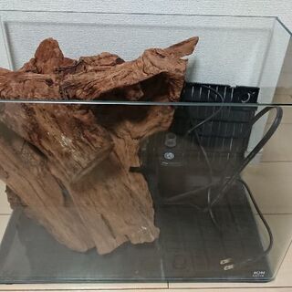 45cmオールガラス水槽