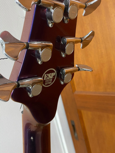 ESP Custom Guitars 6弦ベース オリジナルオーダー品？ ESP オーダー品 6弦ベース