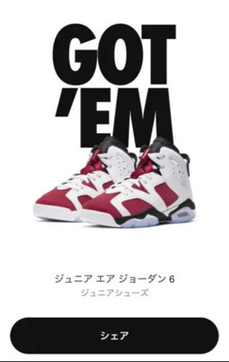 【25.0】NIKE AIR JORDAN 6 GS / ナイキ エアジョーダン6 gs