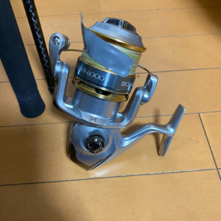 青物、シーバス