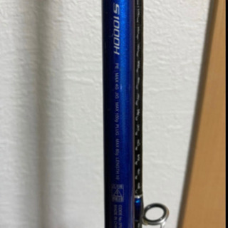 青物、シーバス