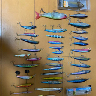 青物、シーバス