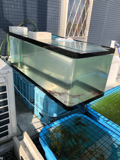 120センチアクリル水槽