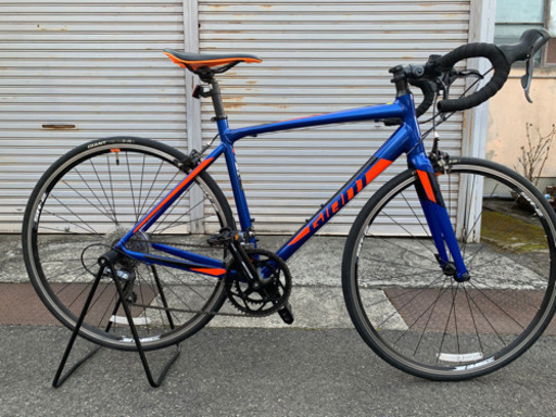 2017 Giant Bicycle [CONTEND 2] ロードバイク 【公式通販】