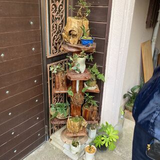 ☆いろいろ植物鉢植えまとめてセット 花台付き （大-1）