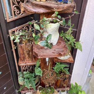 ☆いろいろ植物鉢植えまとめてセット 花台付き （大）☆発送不可