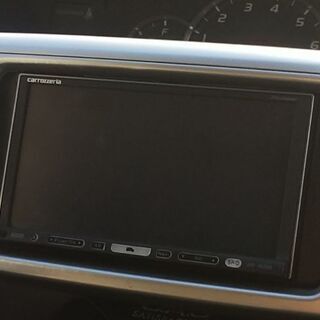 カロッツェリア HDDナビ　最終値下げ-(現品) ビカクシダ ウィリンキー \'ジェイドガール\' (spore)