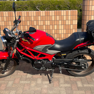 VTR250LDに乗りませんか？