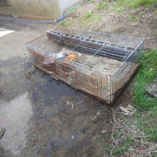 ネコ 犬 ペット 等のかごです