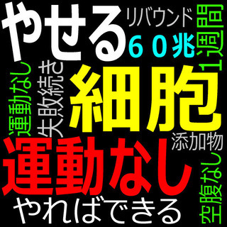 💗やせて幸せになる💛細胞科学ダイエット 💚本当にやせたいあなたへ for 中部の画像