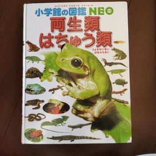 中古両生類 本 Cd Dvdが無料 格安で買える ジモティー 中古両生類 本 Cd Dvdが無料 格安で買える ジモティー