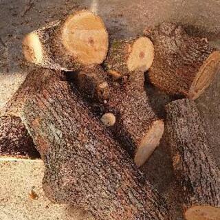 無料 楠の木玉切り 節あり 薪の端も少しあります