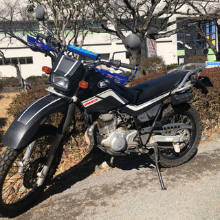 決りました⭐️セロー225⭐️