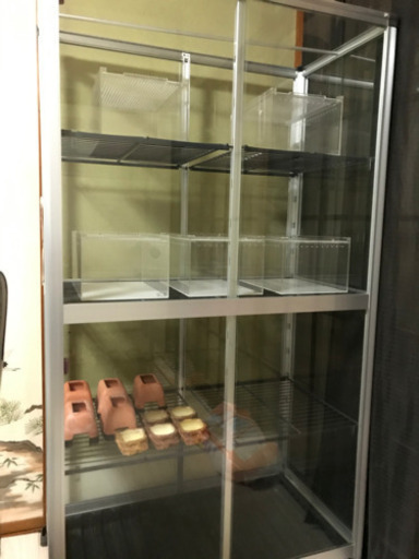 爬虫類ケージ　温室　1週間以内の取引き3000OFF