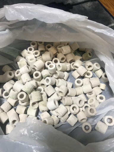 �超綺麗90cm水槽セット4点 エンゼルフィッシュ付き