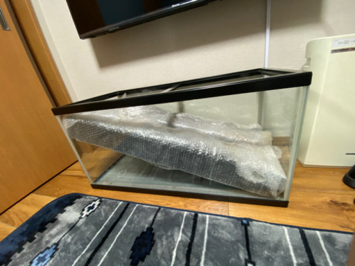 �超綺麗90cm水槽セット4点 エンゼルフィッシュ付き
