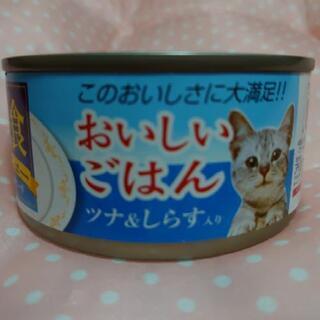 🐱 猫缶  