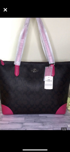 コーチCOACHシグネチャーピンク
