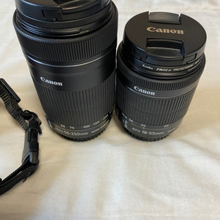 分割可能 米栂 ベイツガ 12尺 3本 まとめ売り