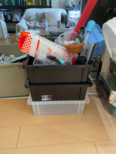今日中なら間に合う‼️メダカ・熱帯魚・用品など一式
