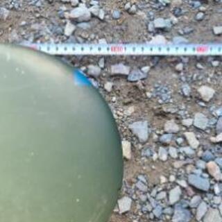 雷電 ラジコン飛行機