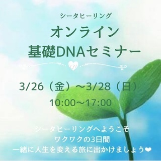 3/26〜3/28オンライン基礎DNAセミナー開催！！（シータヒ...