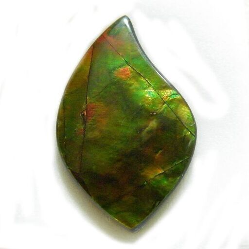 ≪超希少品≫天然石 アンモライト トリプレット ルース 16.5x26.5mm 14.07ct