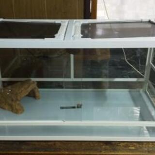 リクガメ 飼育セット